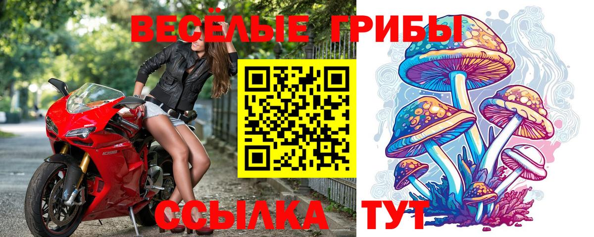 Псилоцибиновые грибы ЛСД  Вход с VPN  Богданович  Псилоцибиновые грибы Magic Shrooms 