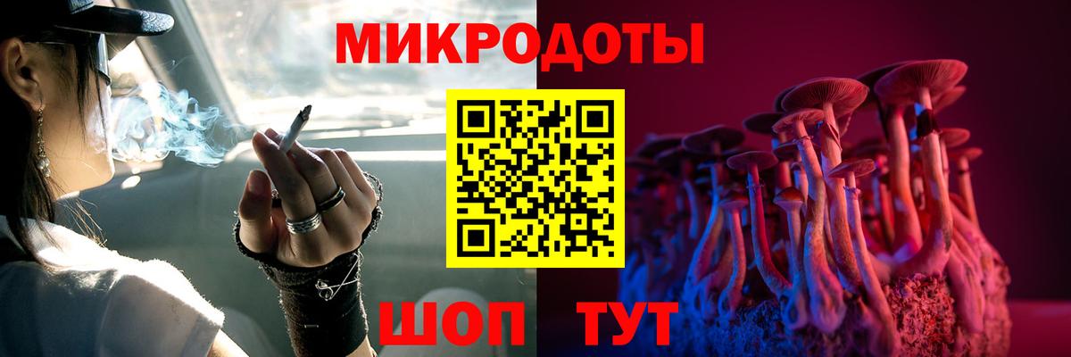 Псилоцибиновые грибы мицелий  Псилоцибиновые грибы GOLDEN TEACHER  Богданович 